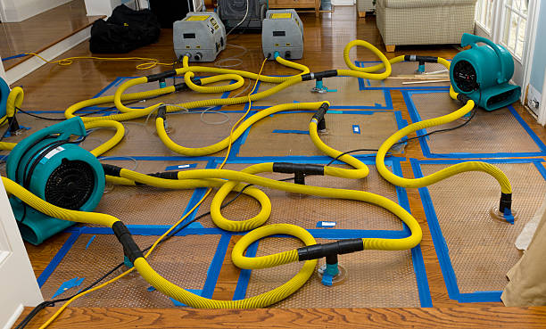 Professional Crawl Space Water Removal technician working in Balsam Grove, NC