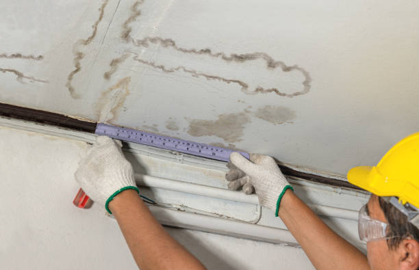 Affordable Water Damage Repair solutions in Balsam Grove, NC